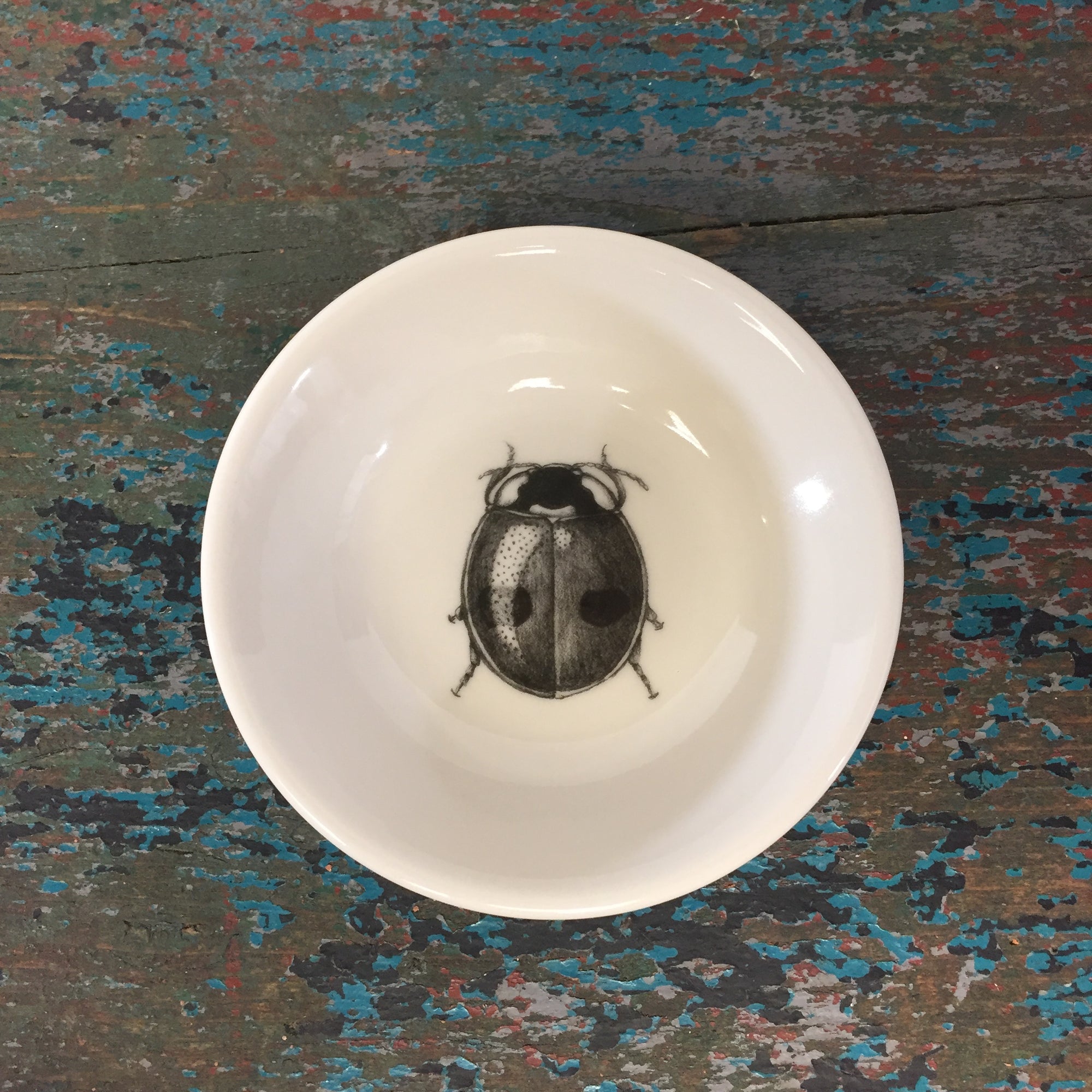 Laura Zindel Lady Beetle Sauce Bowl