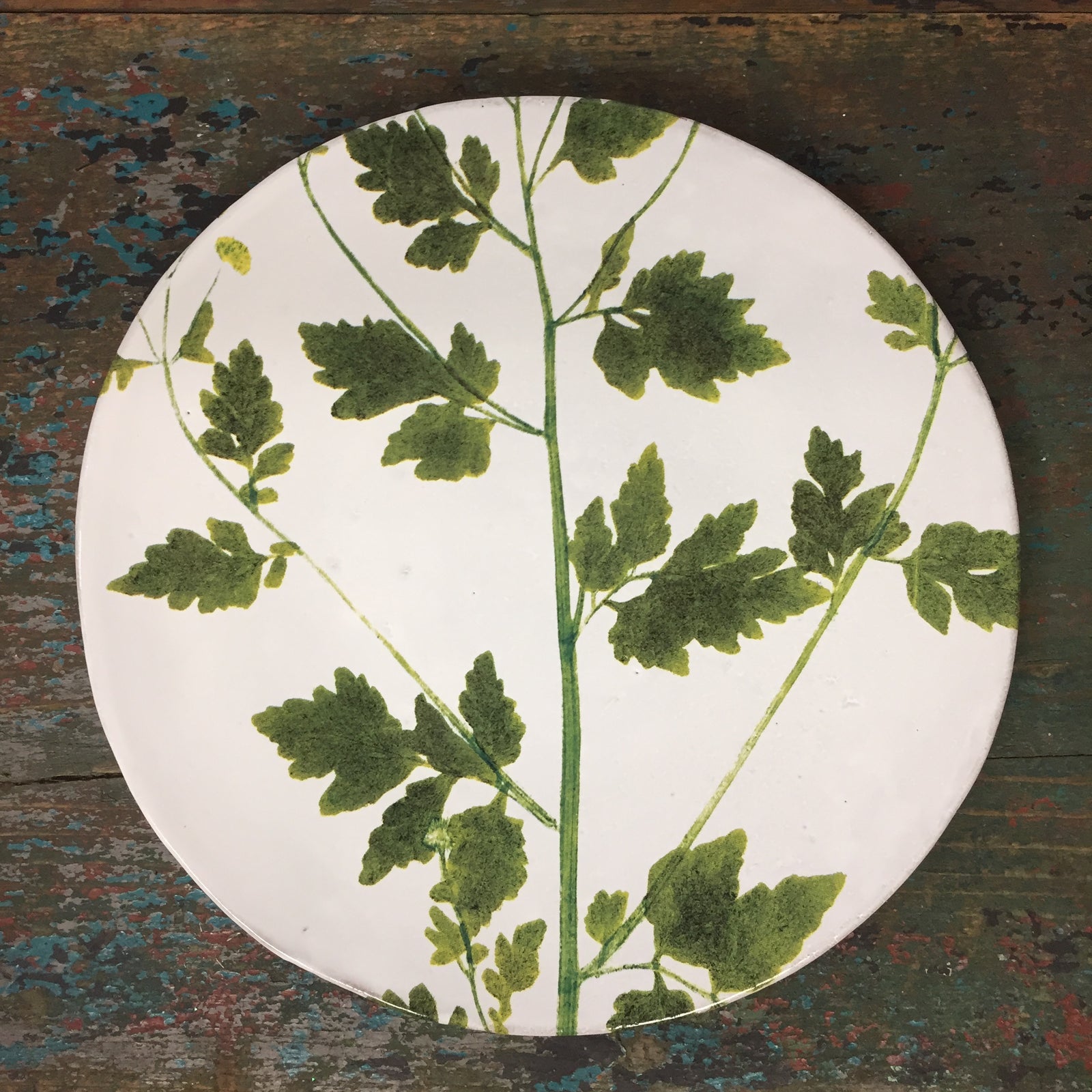 Astier de Villatte John Derian Matricaria Botanical Plate