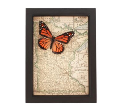 Framed Monarch Butterfly on Minnesota Map