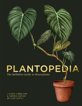 Plantopedia The Definitive Guide to Houseplants