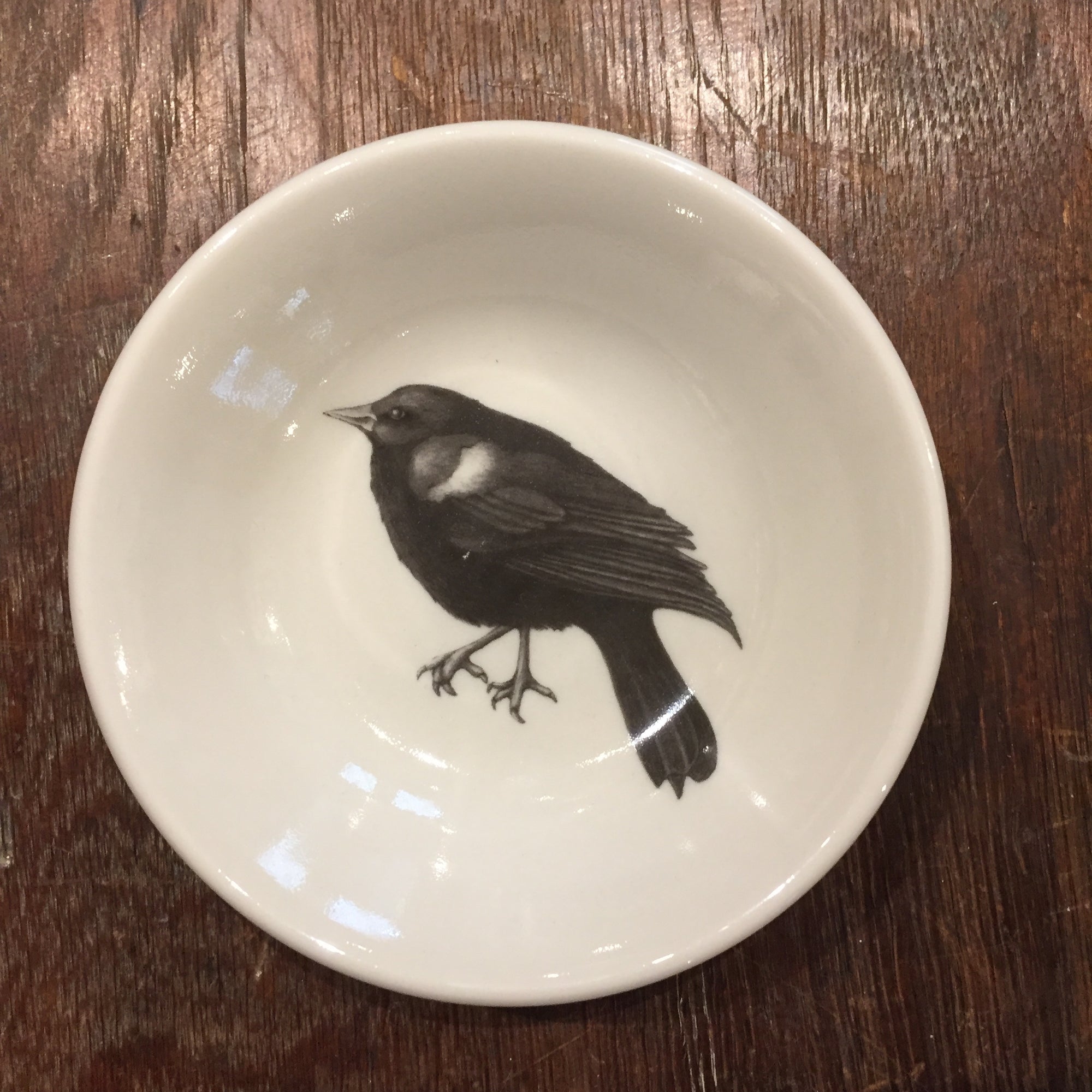 Laura Zindel Red-Winged Blackbird Sauce Bowl