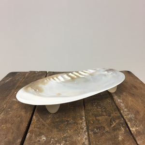 Silver Clam Plate