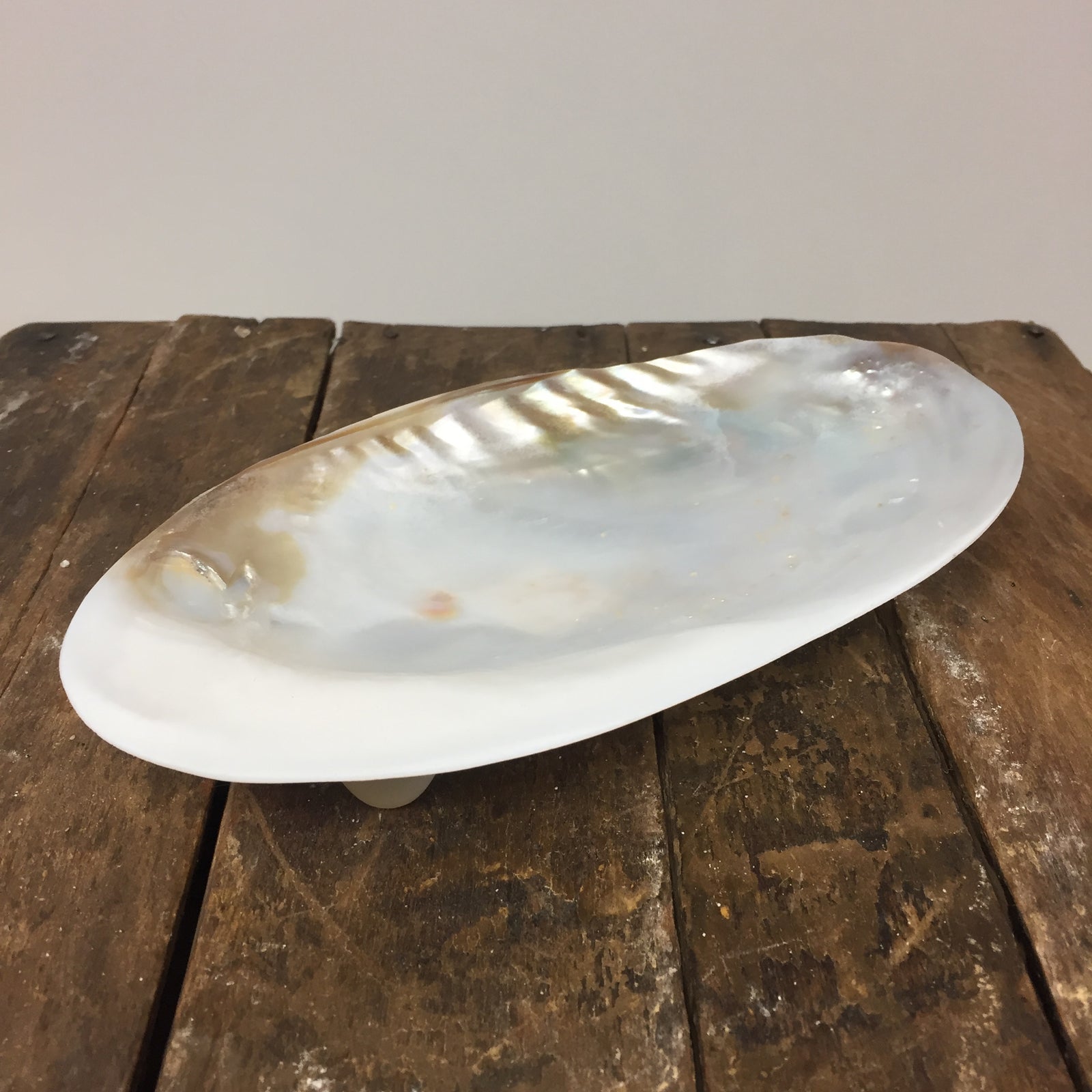 Silver Clam Plate